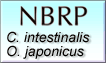 National BioResource Project (NBRP Information Site)